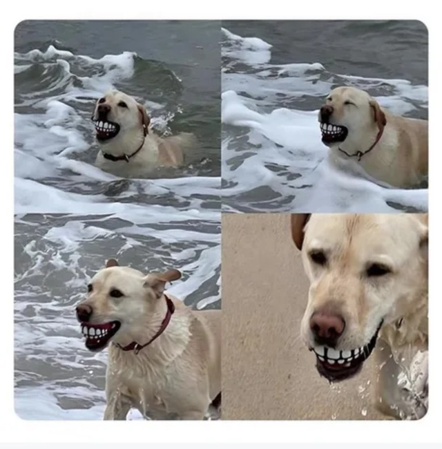 Bester Ball