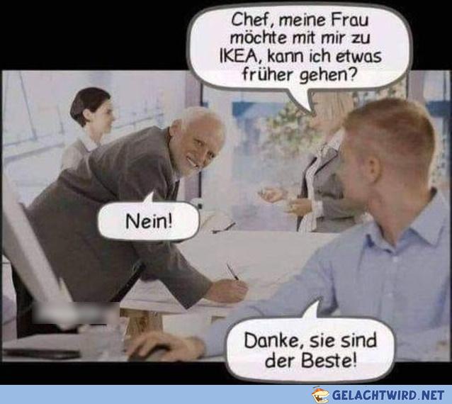 Bester Chef