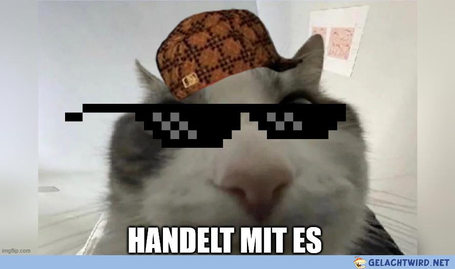 bestes Meme