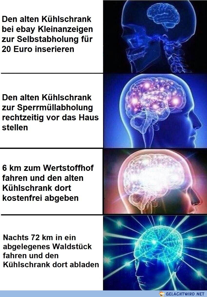 big brain