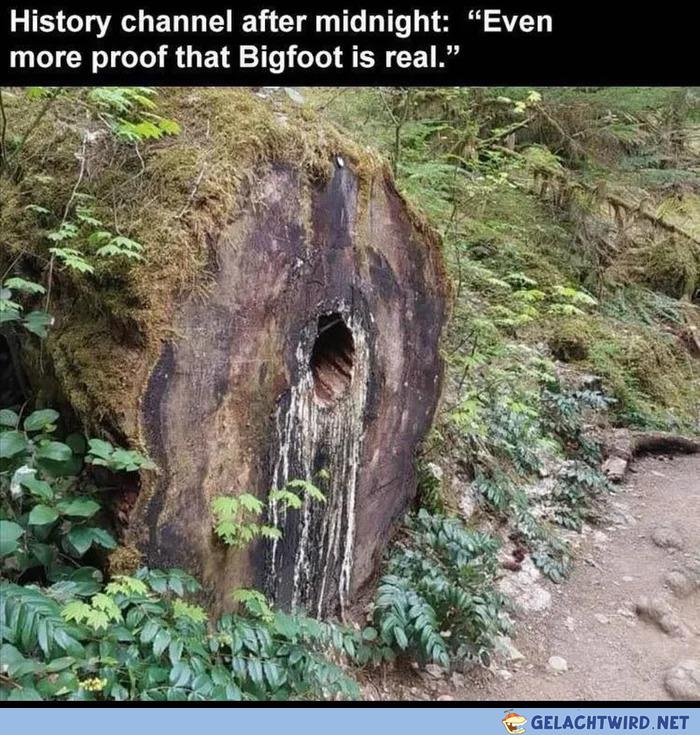 Big Foot is alive