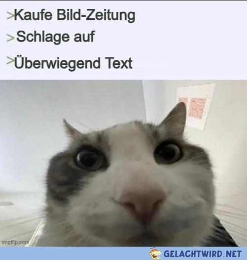 Bild-Zeitung