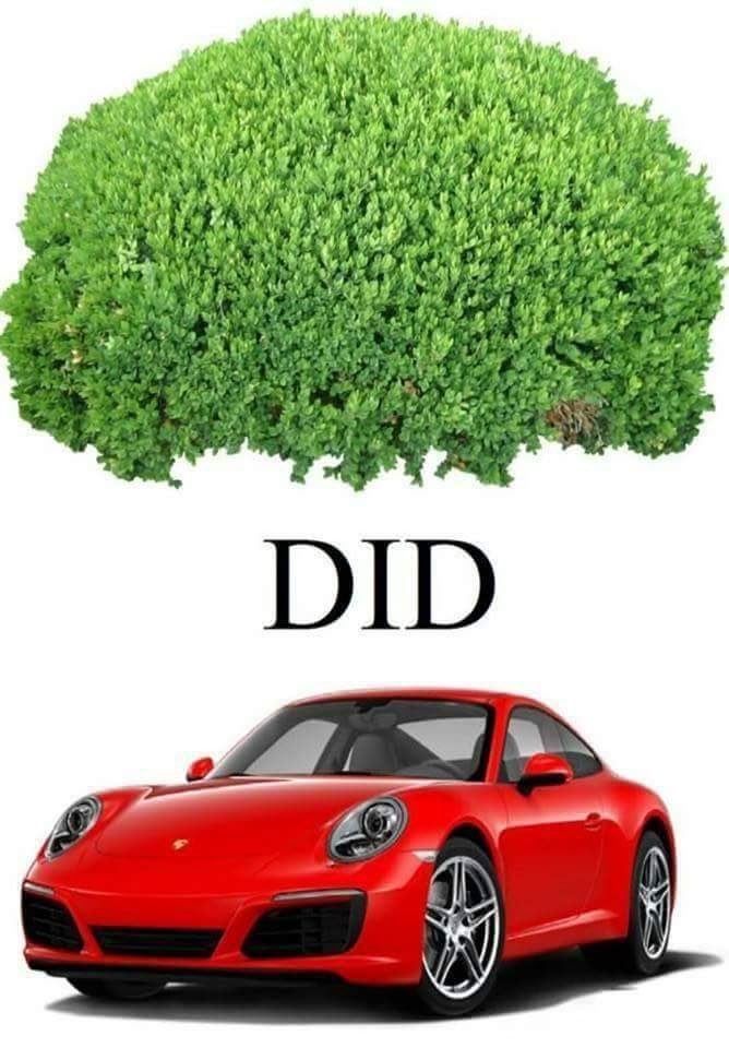 Bilderrätsel
