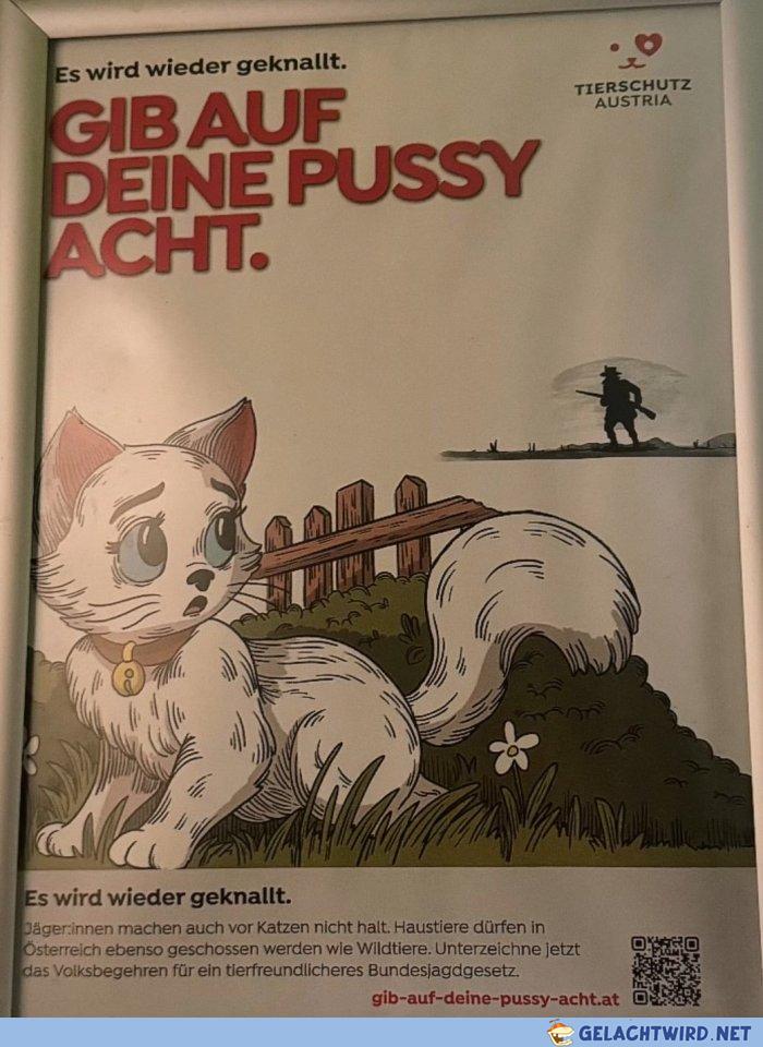 Bitte Pussy schützen.