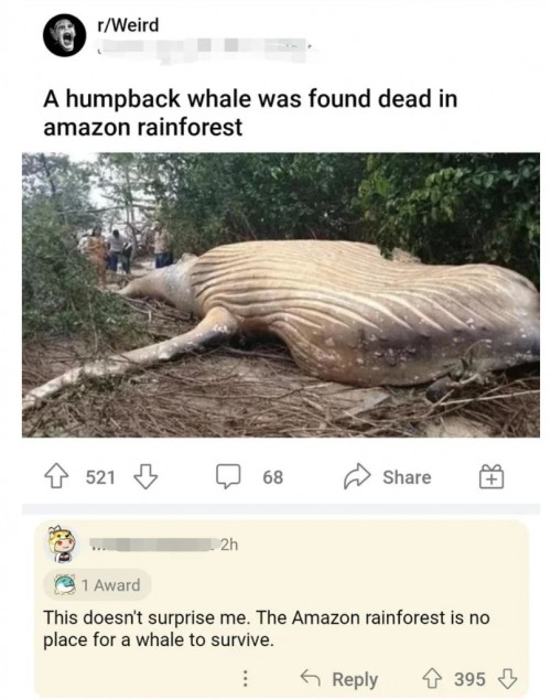 Bitte was