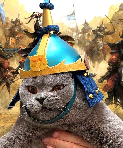 BKH mit Kampfhelm