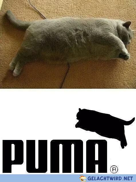 BKH Puma
