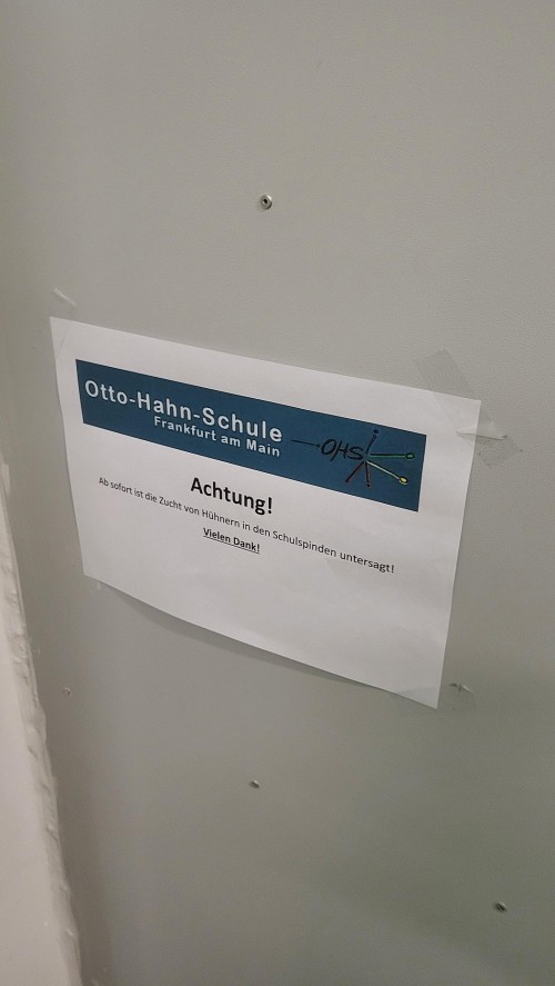 Blöde Hahnschule