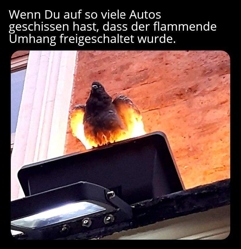 Boss Lvl