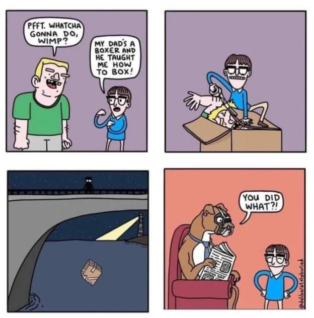 Box, Boxer, Boxing