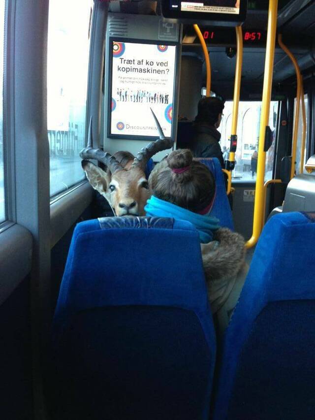 Brauchst 'n Passbild?