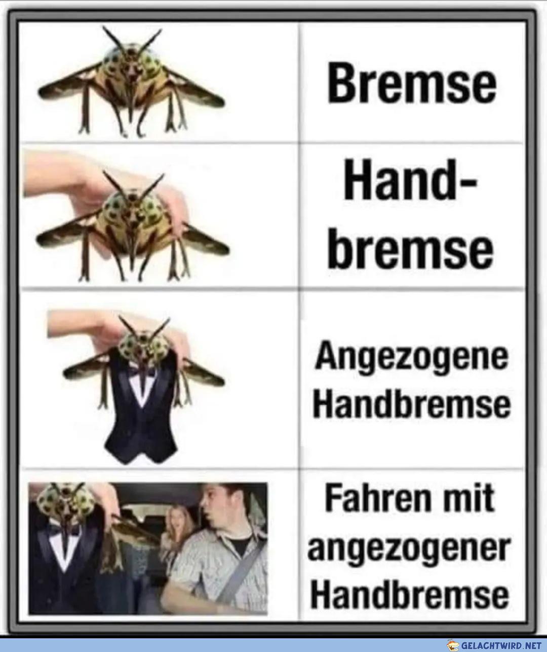 Bremsen