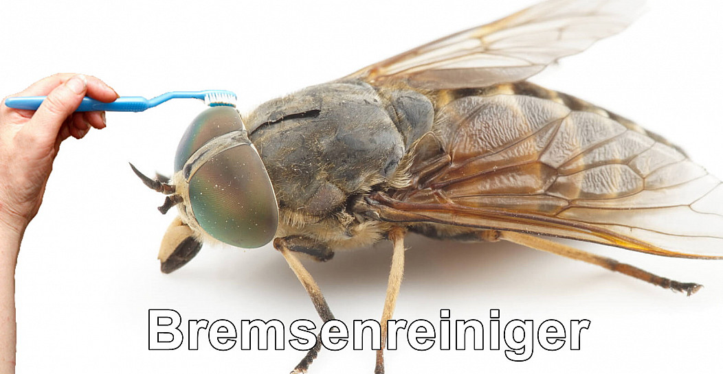 Bremsenreiniger