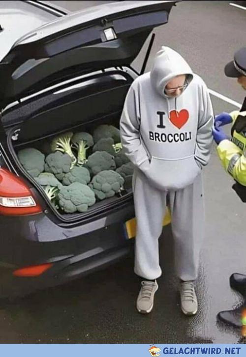 BUSTED