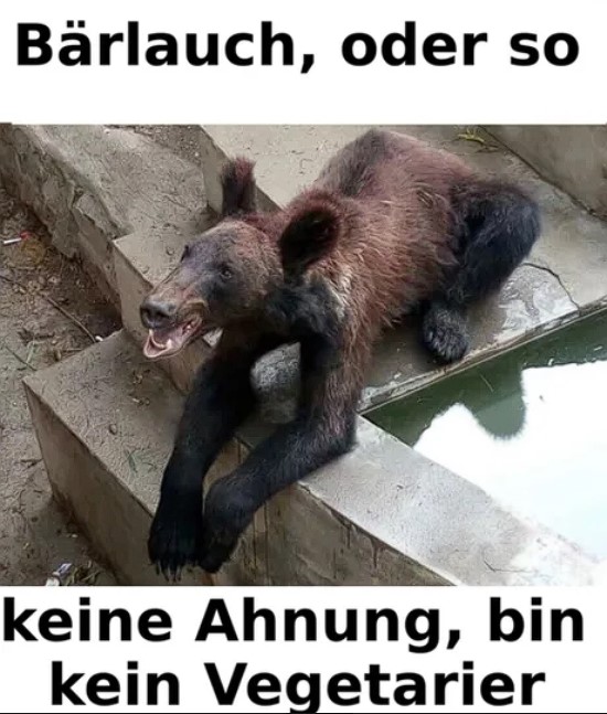 Bärlauch