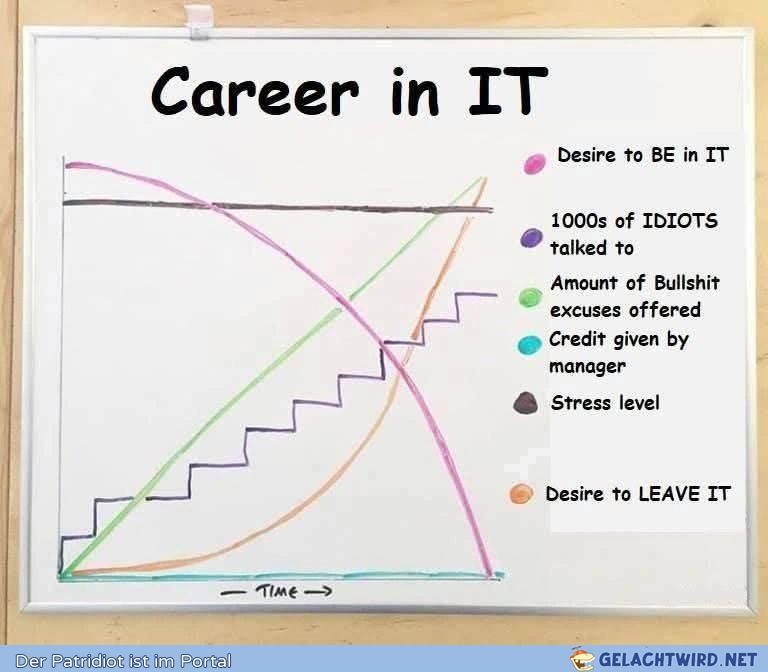 Career in it