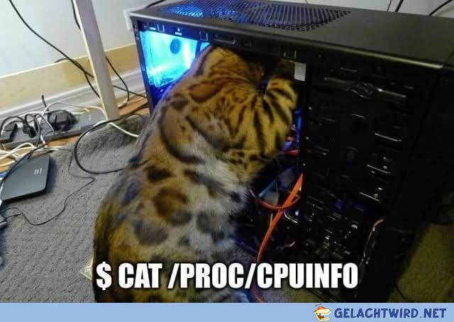 cat /proc/cpuinfo