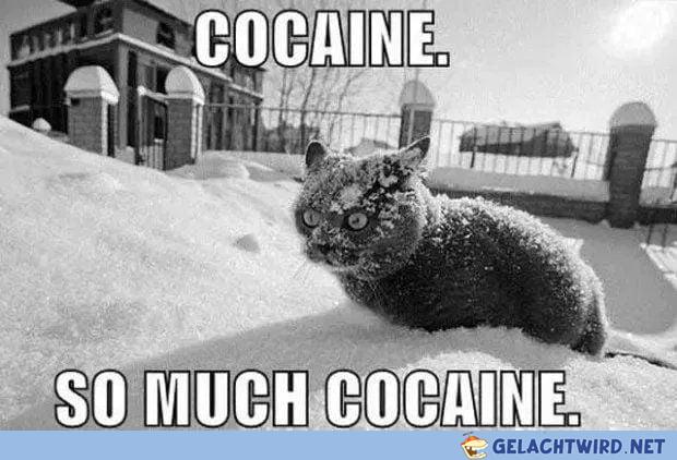 Catcaine