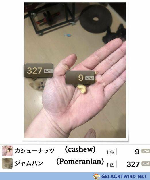 Chinesische Kalorien-App
