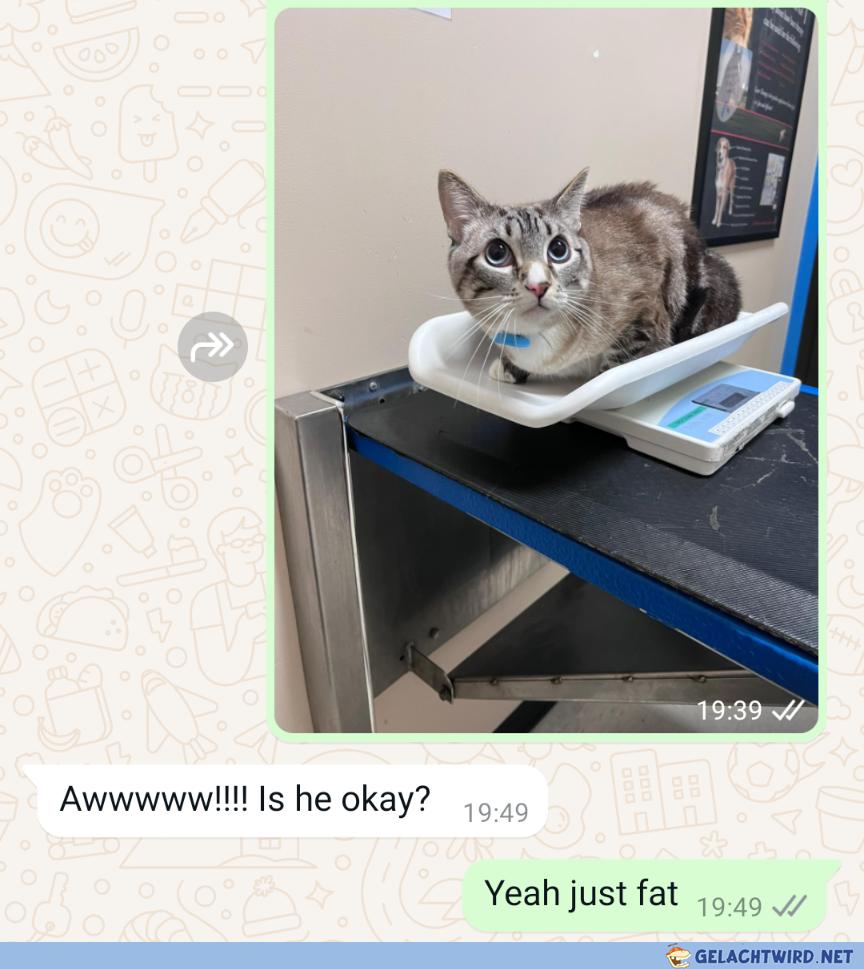 Chonker