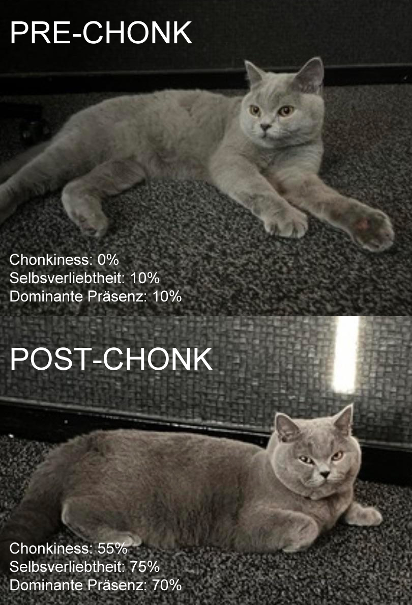 Chonkification