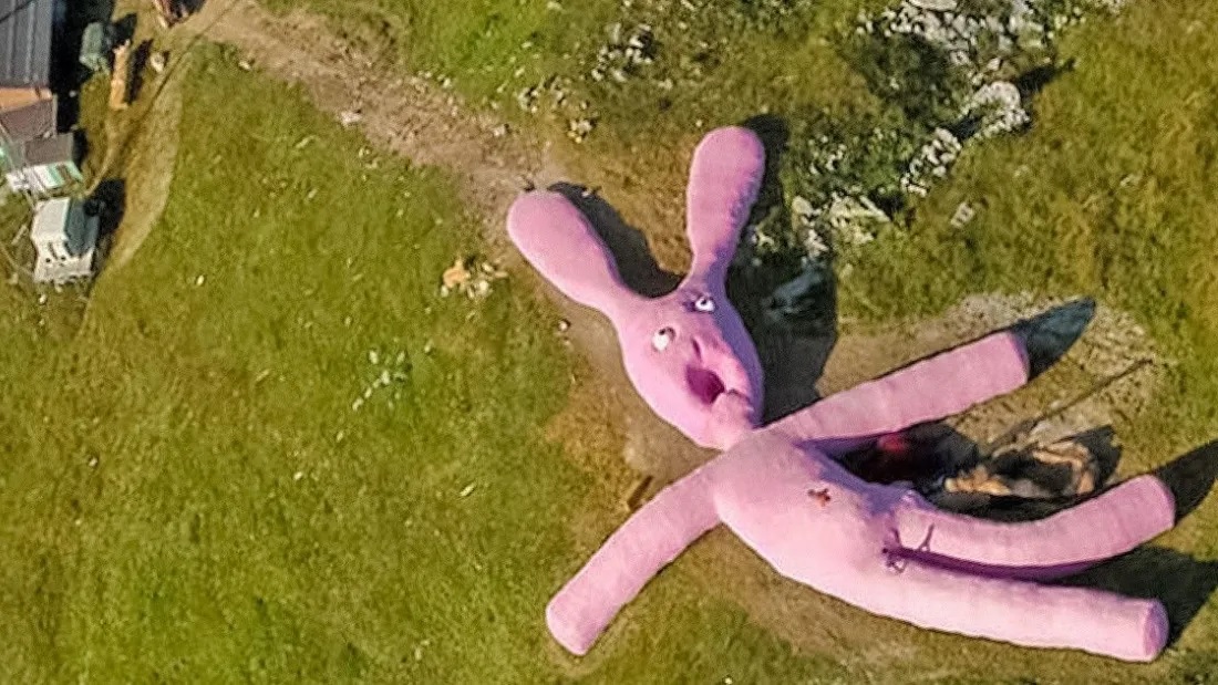 Coniglio Rosa Gigante
