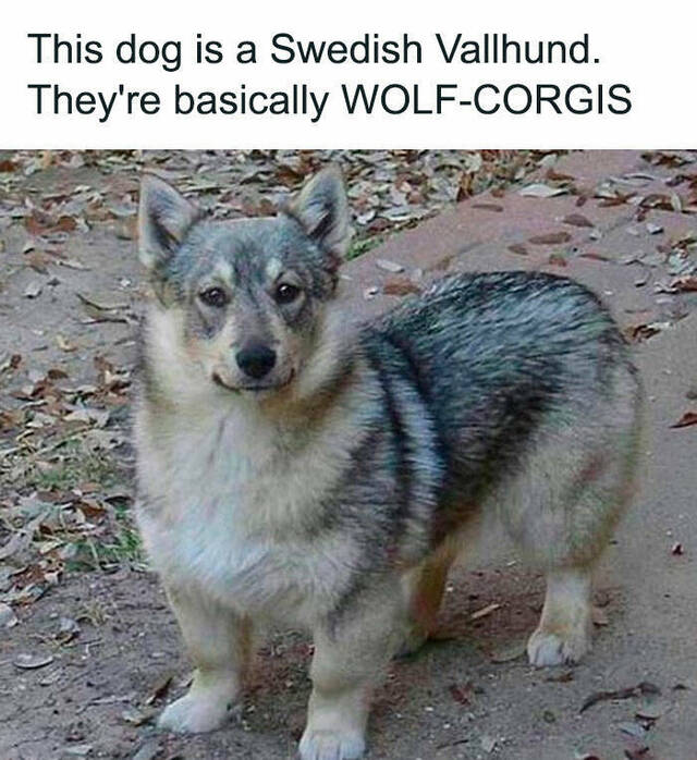 Coole Kreuzung