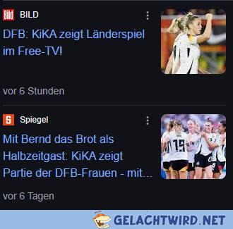 Da gehören sie hin