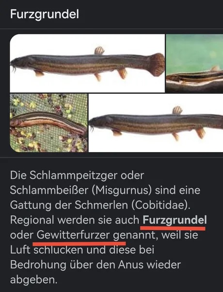 Da kenne ich noch einen