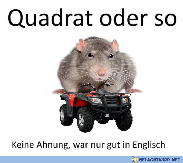 Dachte erst Pentagon