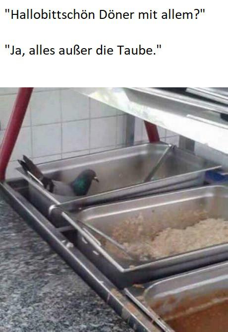 Dafür aber mit Schaf
