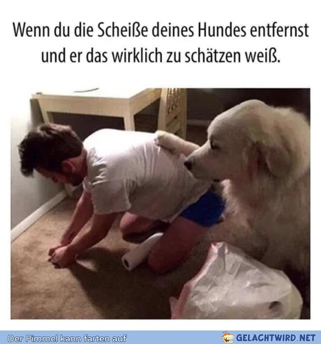 Danke Babber