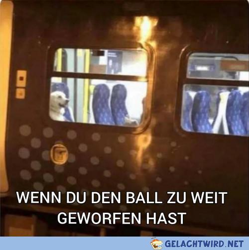 DAS APPORTIER!!!111einself