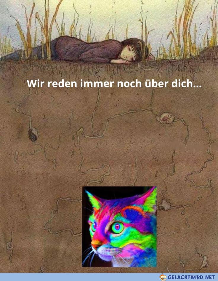 Das Leben ist gerade schwer