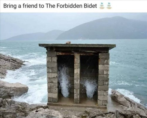 Das verbotene Bidet