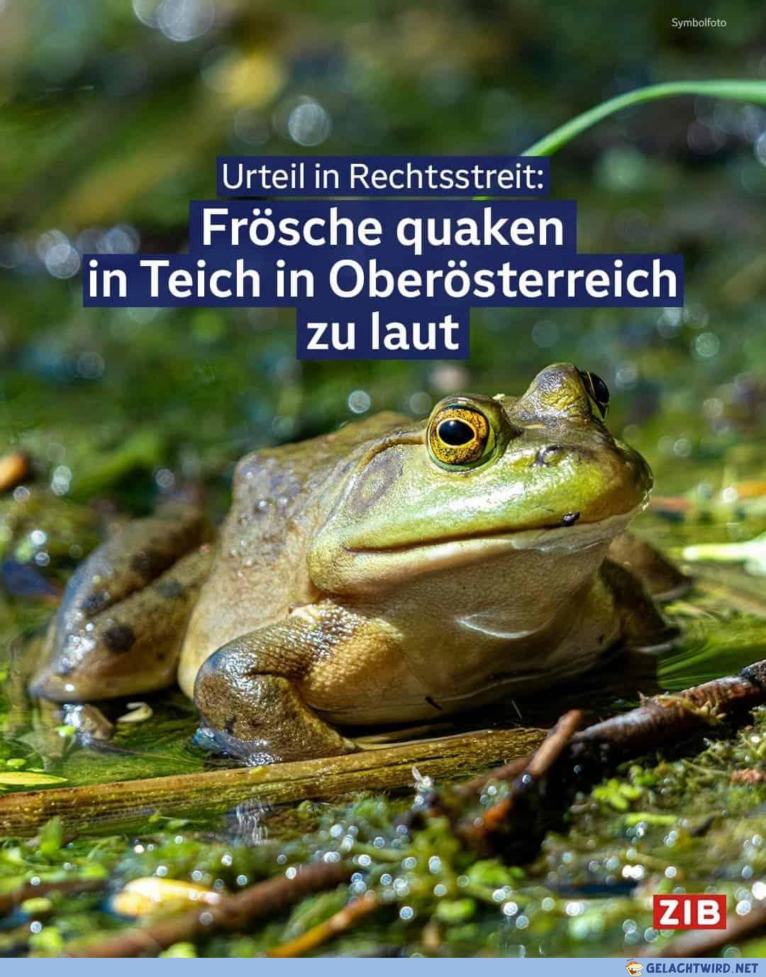 Dem muss Einhalt geboten werden