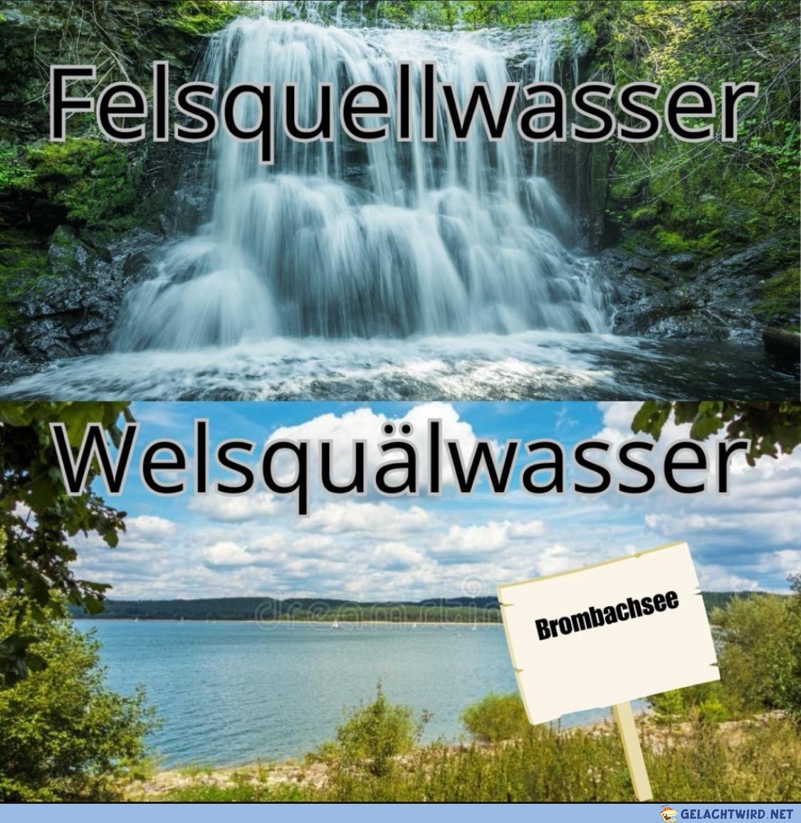 Den Wels quälen