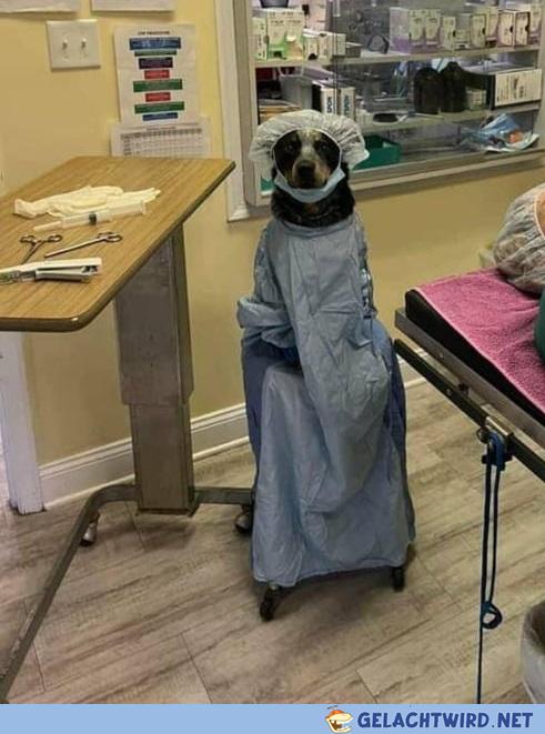 der DOGTOR!!!111einself