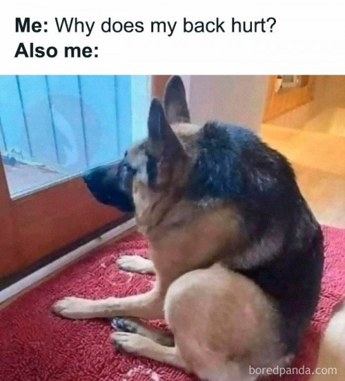 DER HUNT!!!111einself