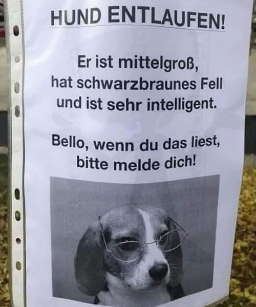 DER HUNT!!!111einself