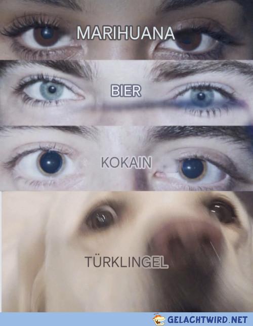 DER HUNT!!!111einself
