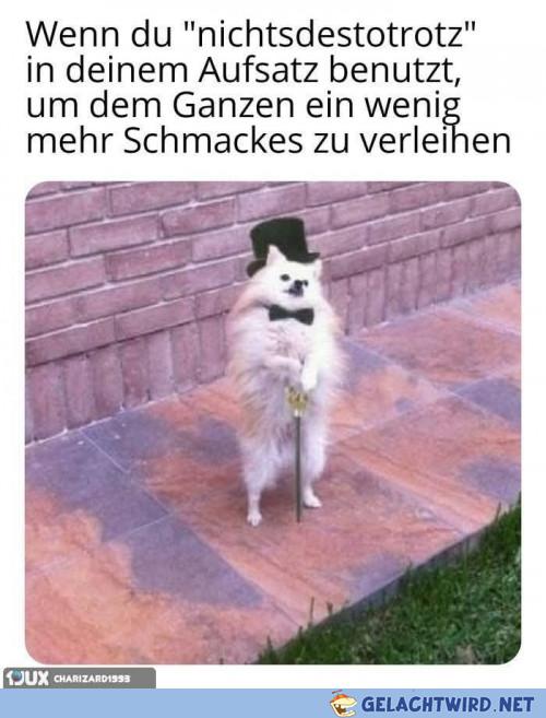 DER HUNT!!!111einself