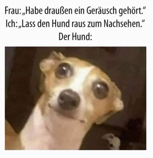 DER HUNT!!!111einself
