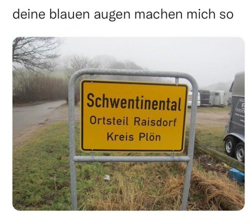 der Schlawiner