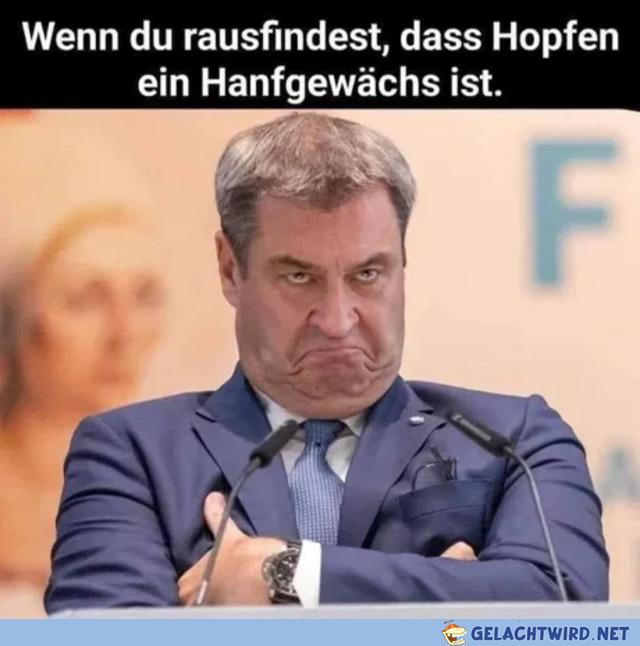 Der Söber