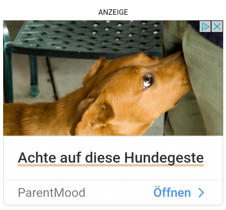 Der will doch nur spielen