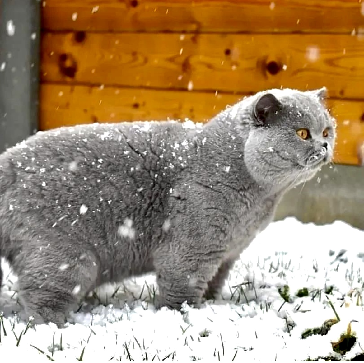 Der Winter kommt
