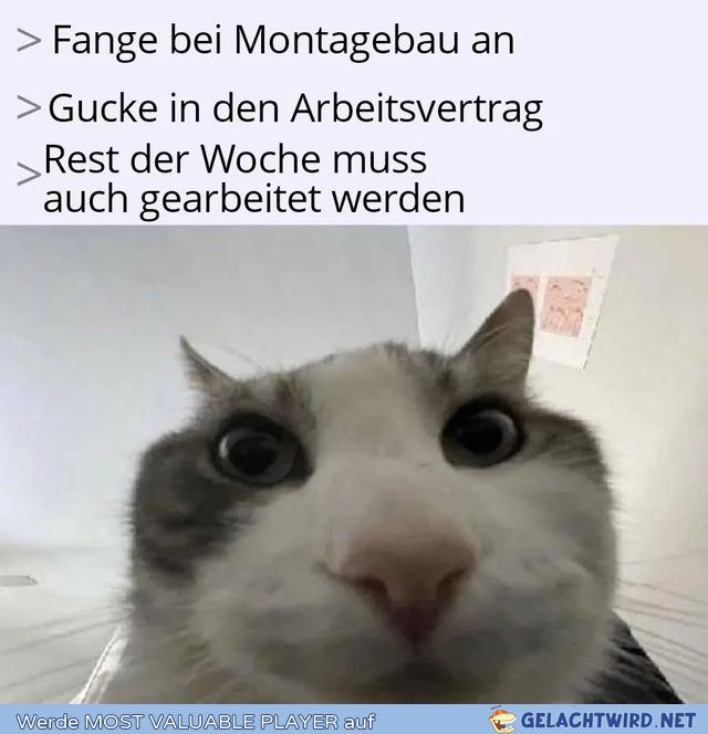 Des kanns doch net sein