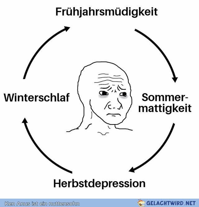 Die 4 Jahreszeiten