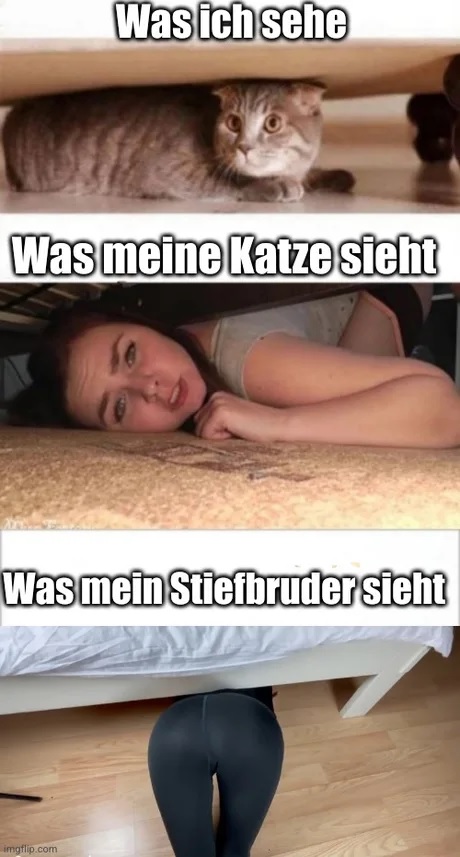 Die Geschichte kennt man